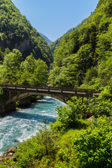 Fototapeta na wymiar Landscape in Abkhazia with stone bridge over river