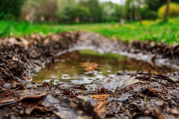 Small pond
