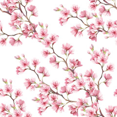 Seamless pattern with cherry blossoms. Watercolor illustration. - 123607616