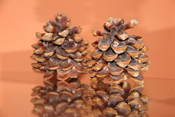 украшение - две большие шишки