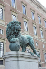 Obraz premium lion statue