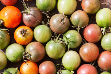 Background from multi-colored cherry tomatoes