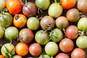 Background from multi-colored cherry tomatoes