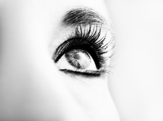 Eye Makeup. Beautiful Eyes Glitter Make-up. Holiday Makeup detail