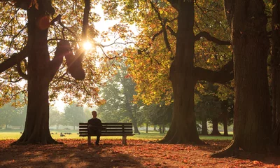 Foto op Plexiglas Man sitting on a bench in a park on a sunny autumn morning. © sanderstock