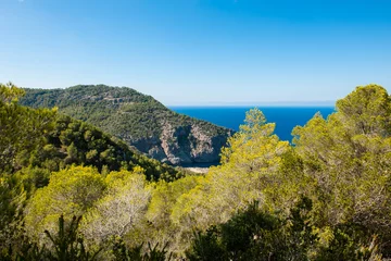 Fotobehang Zee & Oceaan View from a cliff  © brianholm
