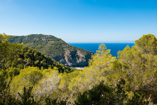 View from a cliff