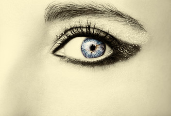 Eye Makeup. Beautiful Eyes Glitter Make-up. Holiday Makeup detail