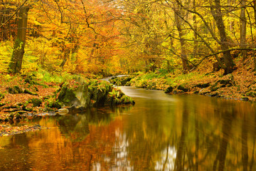 Fototapeta premium Farbenprächtiger Herbstwald spiegelt sich im Wasser eines kleinen Flusses