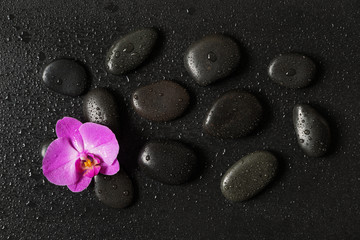 Spa-concept with zen stones and orchid flower