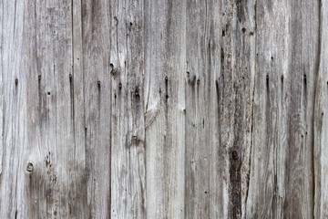 Fototapeta premium The old wood texture with natural patterns