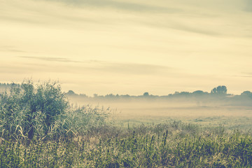 Morning mist in the wilderness on a cold morning