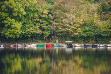 Fototapeta na wymiar Boats on a row in a lake surrounded by green trees