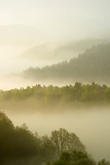 Wald bedeckte Hügel ragen aus dem Morgennebel, Nationalpark Kellerwald-Edersee, Deutschland