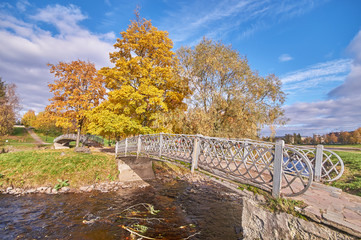 Fototapeta na wymiar across the river bridge in the autumn park