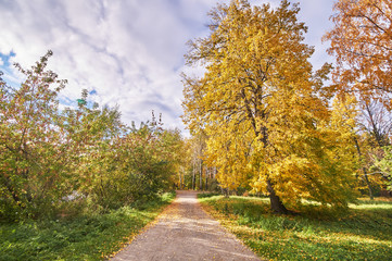 autumn Park