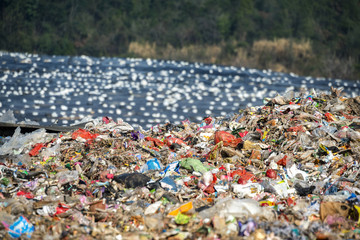 landfill waste site
