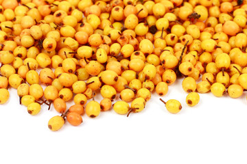 Sea buckthorn berries on white background
