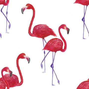 Flamingo seamless pattern on white background. watercolor painting Flamingo design for fabric and decor.