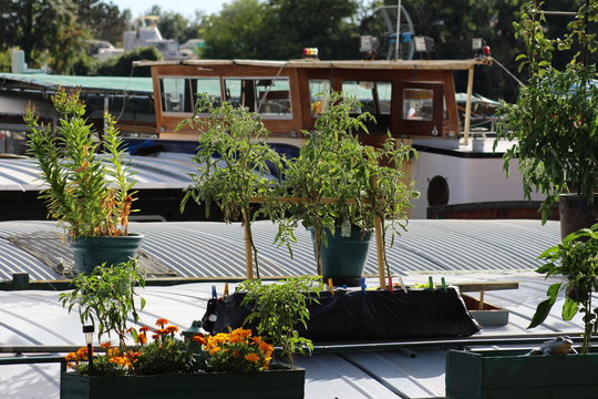 Conflans Sainte Honorine - Les Quais de Seine