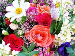 Multicolored spring flowers, close-up. Bunch of colorful flowers or flower bouquet with various flowers.
