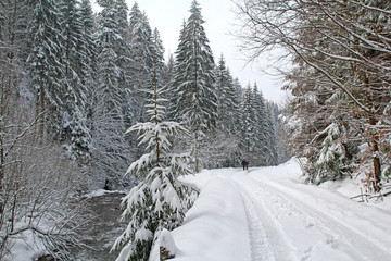 Dolina Białej Wisełki zimą