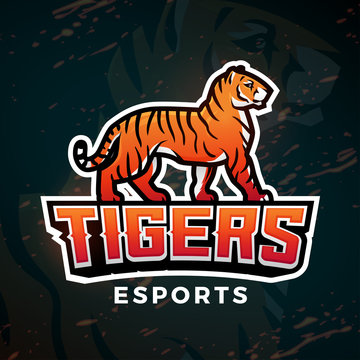 Tiger sport logo vector. Mascot design template. Football or baseball illustration. College league insignia, High School team logotype on dark background.