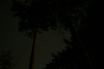Long exposure of the stars lake and trees