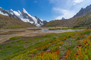 Mooie bloemen bij kamp Khuspang, K2 trek
