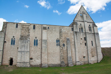 Fototapeta na wymiar Maillezais. Ruines de la cathédrale saint Pierre, Vendée, Pays de Loire