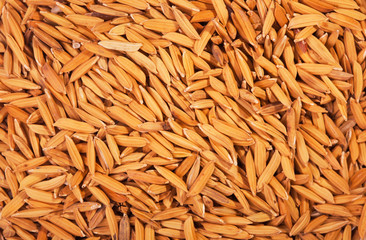 Food background. Pile of unmilled rice grain. Can use as abstract background. top view