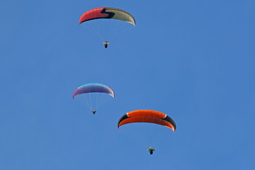 Paragliders