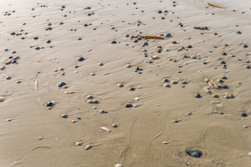 North Sea Background/ Texture