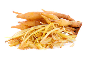 Fingerroot on white background