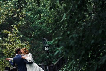 Stunning wedding couple kisses under high dark green trees