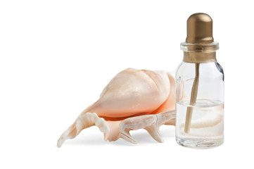 bottle of medicine and shells