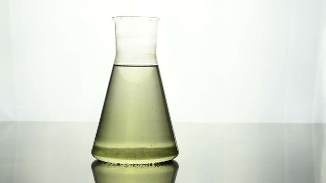 Szklana menzurka z małymi skorupiakami wodnymi - dafnie, rozwielitki. Ruch w szklanej pr&oacute;b&oacute;wce, laboratorium biologiczne, badania jakości wody. 