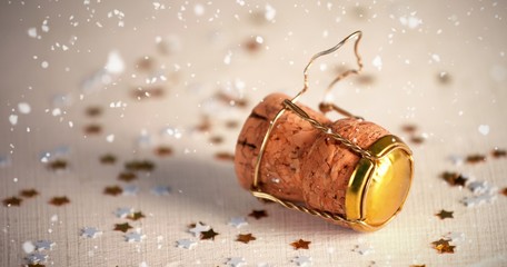Composite image of snow falling © vectorfusionart