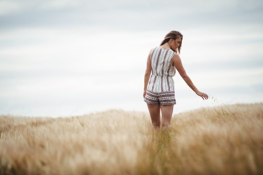 Woman touching wheat in field on sunny day