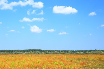 Beautiful landscape in fall