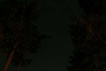 Fototapeta na wymiar long exposure stars trees lake and sky 