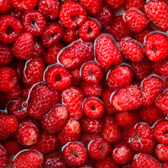 raspberries in water © YARphotographer
