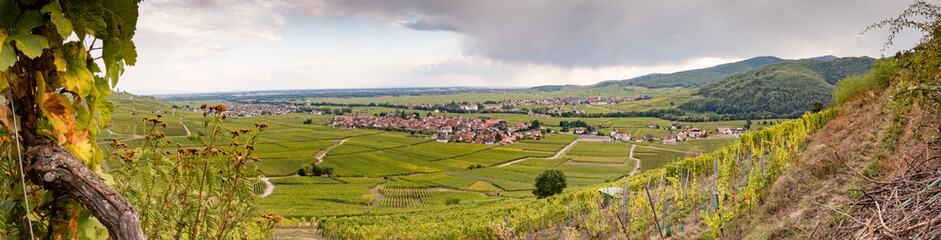 Fototapeta na wymiar Kientzheim, Ammerschwihr, Sigolsheim au pied des vignes à l'entrée de la vallée de Kaysersberg en Alsace