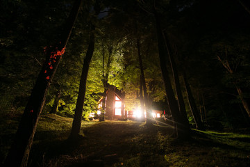 long exposure trees forest cottage blown out