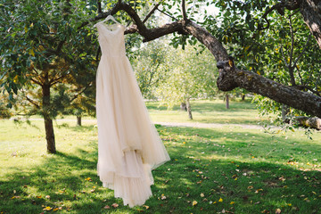 beige handmade casual wedding dress hang on the tree branch in the garden
