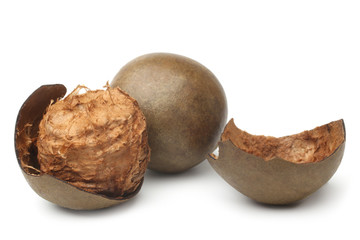 Siraitia grosvenorii (luo han guo) fruits