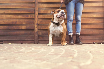underground girl walking with her bulldog in the streets of the city