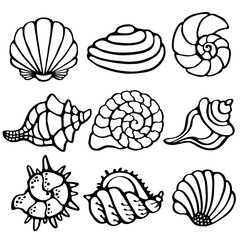 Sea shells icon, logo