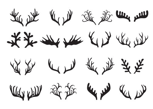 Deer antlers set isolated on white background.
