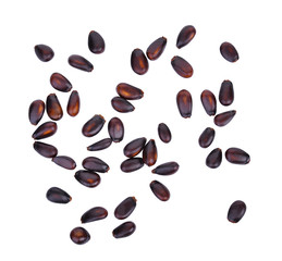 custard apple seed isolated on white